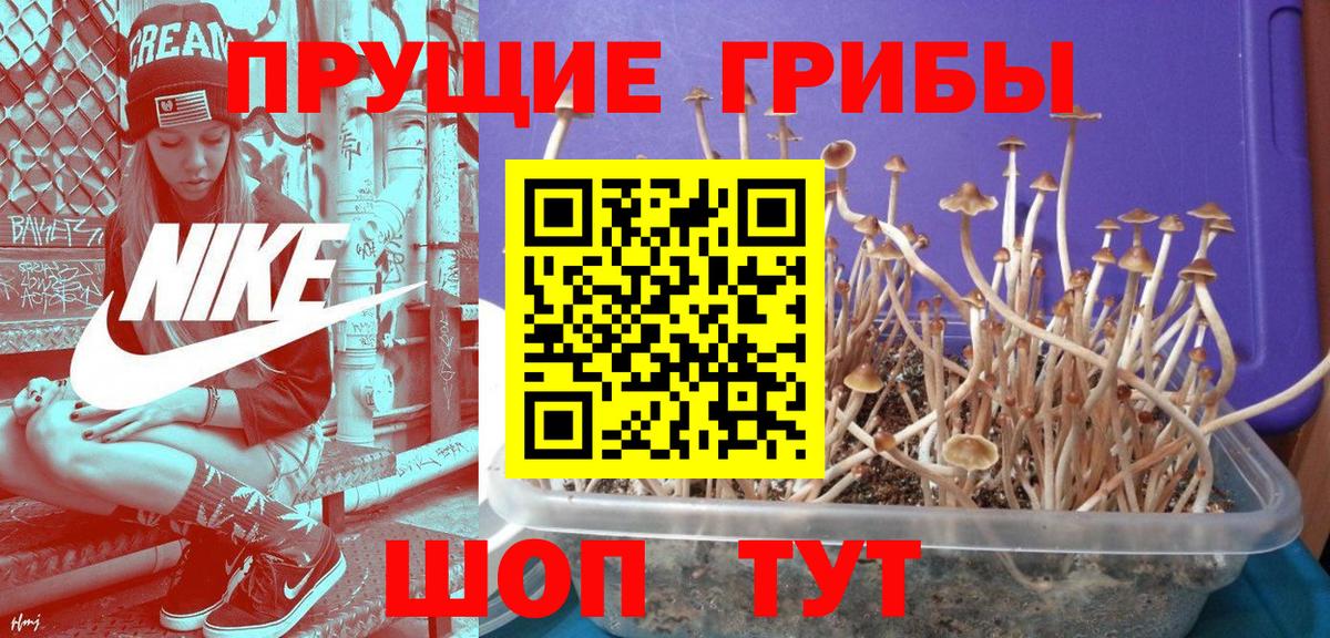 Советский  Псилоцибиновые грибы мухоморы  Вход с VPN 