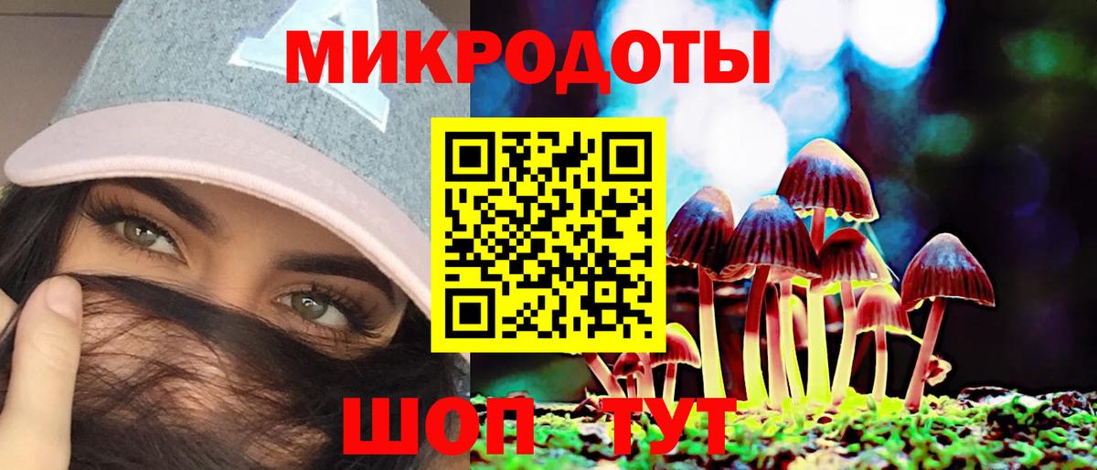 Галлюциногенные грибы Psilocybe Советский